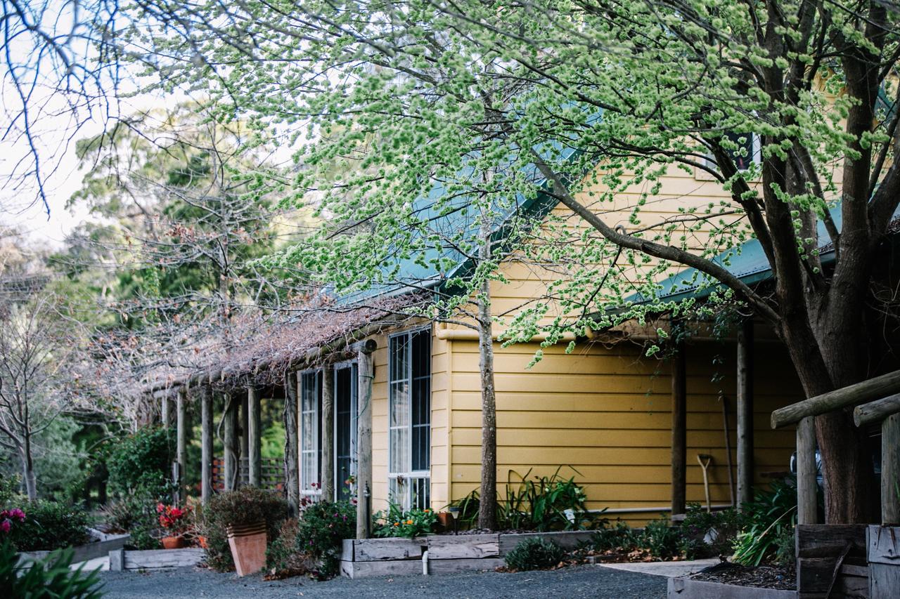 Wurrung B & B - The Cottage 우드엔드 외부 사진